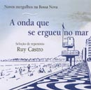 A ONDA QUE SE ERGUEU NO MAR