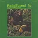 RAIN FOREST